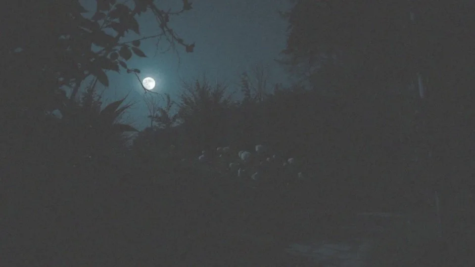 Jakie emocjonalne wyzwania możemy napotkać podczas pełni Księżyca?