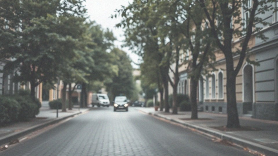 Jakie typy zdjęć znajdują się w Google Street View?