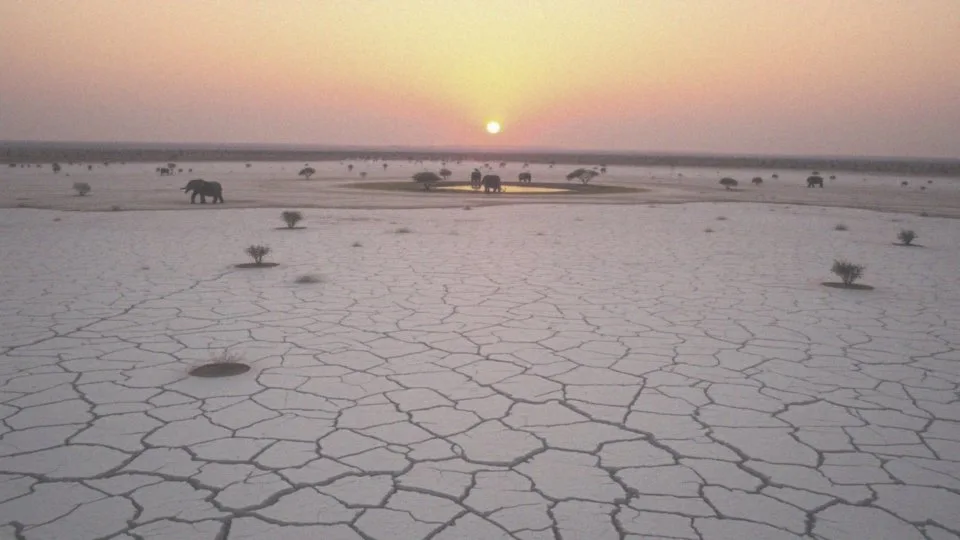 Co czyni Park Narodowy Etosza tak atrakcyjnym?
