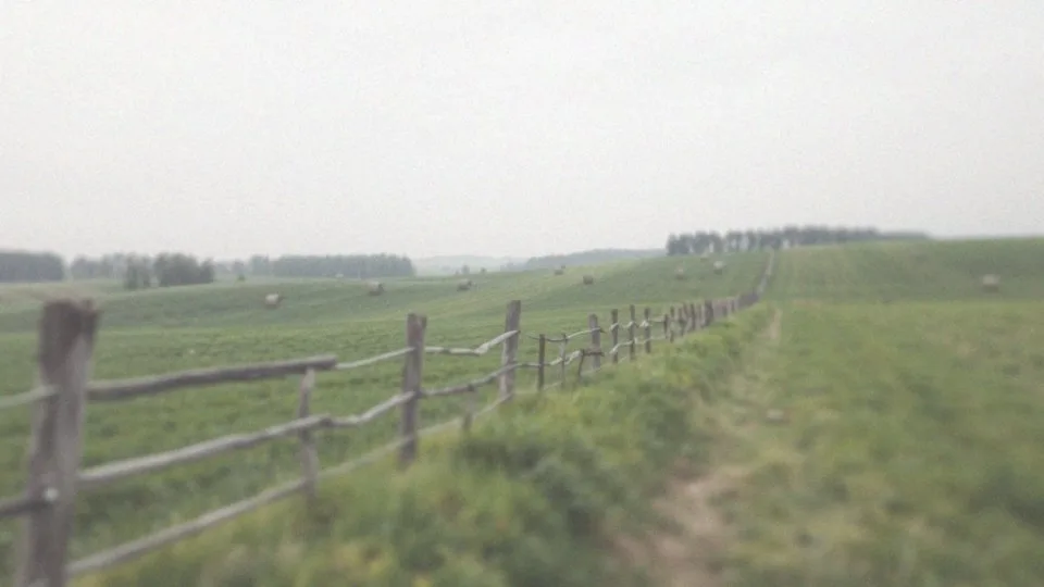 PIP odpoczynek tygodniowy – zasady i regulacje Kodeksu pracy