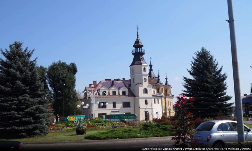 Ogłoszenie konkursu na ochronę kotów wolno żyjących w Tomaszowie Lubelskim