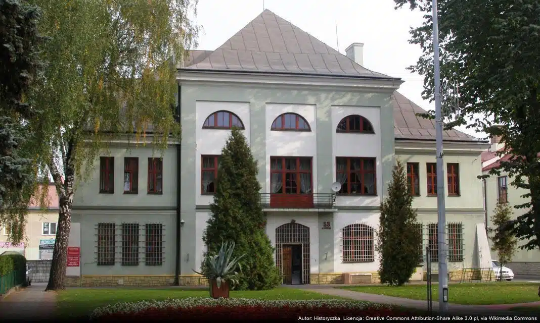 Otwarte konkurs ofert na wspieranie kultury fizycznej i sportu w Tomaszowie Lubelskim